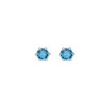 Interchangeable & Pepita  - Silver