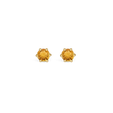 Interchangeable & Pepita - Yellow Gold