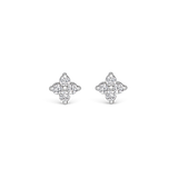 Interchangeable & Pepita  - Silver